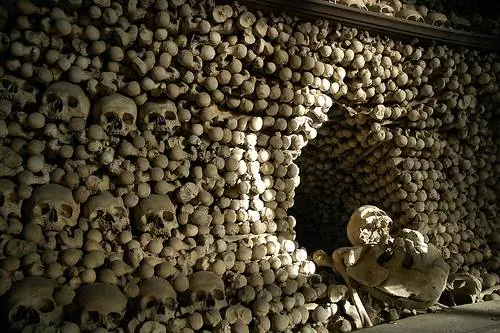 Особенности - 467627938_a42ac2c04d