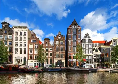 Новости путешествий - thegoldfinchamsterdam