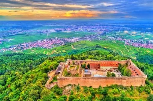 Топ-3 самых красивых замков Эльзаса и советы по выбору отелей