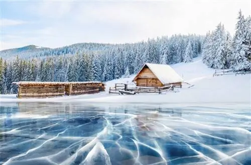 Карпаты, Украина