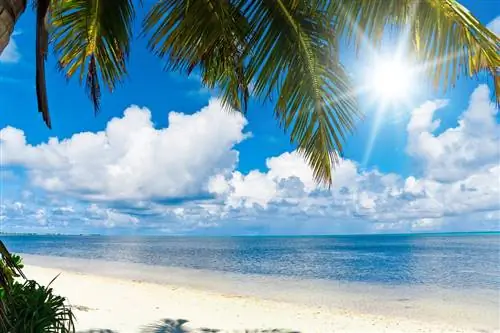 3. Солнце круглый год