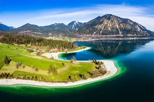 Вики и сильные мужчины Баварии