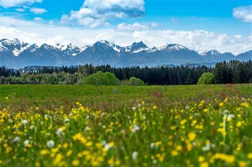 попасть туда