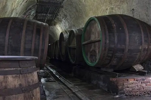 5. Исторические подвалы Пльзеня.