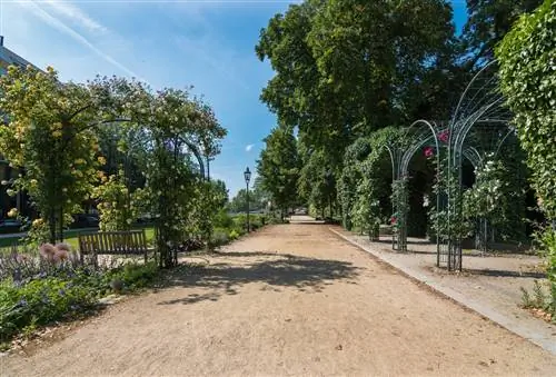 8. Памятник Спейблу и Гурвинеку