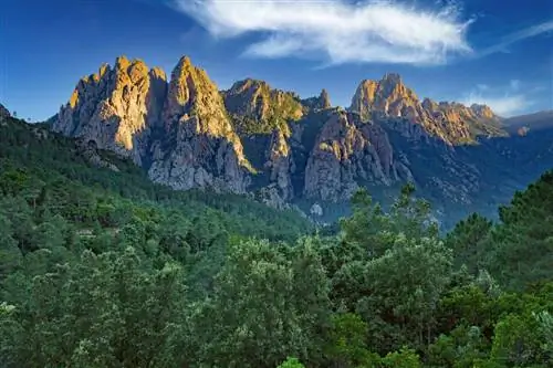 5. Эгюий де Бавелла