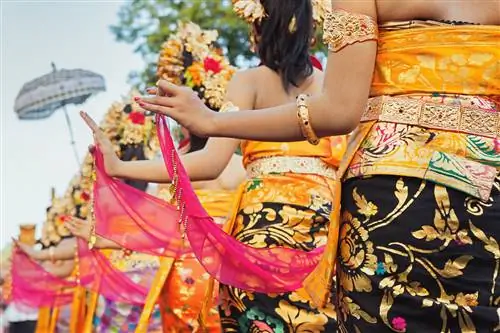 6. Культурный центр Убуда.