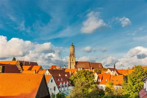 к международной исследовательской перспективе