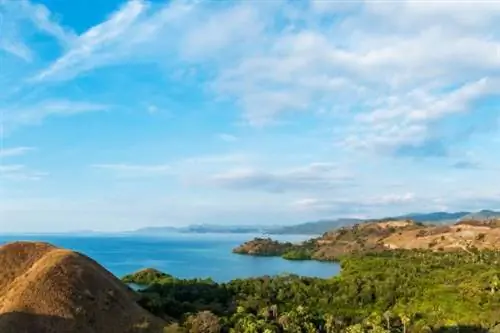 Эти места обязательно нужно посетить во Флориде