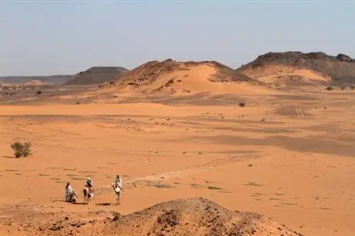 Человек основывает своё королевство