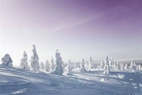 Хорошие причины поехать в страну Деда Мороза