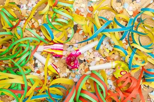 Тепло или холодно, на карнавале всегда много дураков