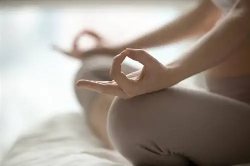 Путешествие с фактором ом