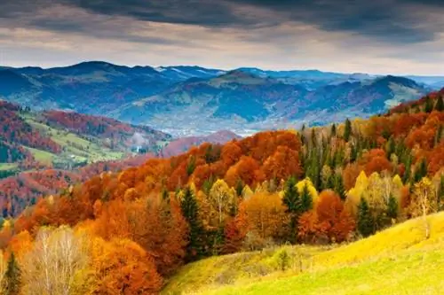 Поход по красочной осени