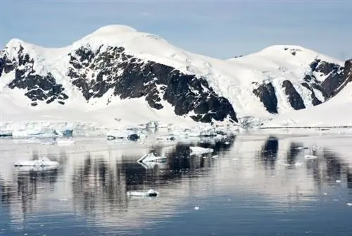 Отпуск в открытом море