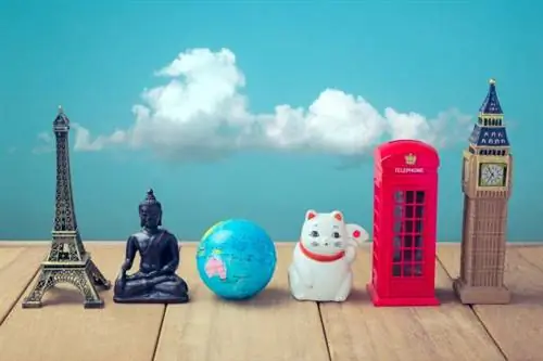 Исследуйте Ближний Восток на мягких лапах