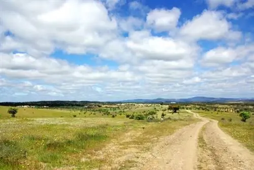 Туризм в Португалии процветает