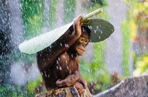 15 невероятных снимков с Siena International Photography Awards
