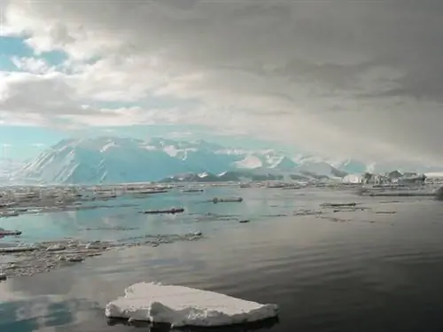 Антарктида - крупнейший в мире морской заповедник