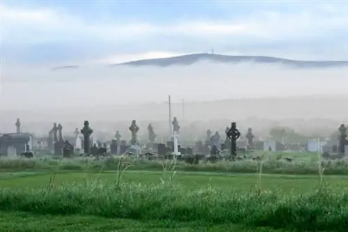Вот как мир празднует Хэллоуин
