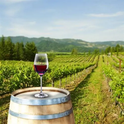 Лучший винный гид - Самые красивые регионы для «поэзии в бутылках»