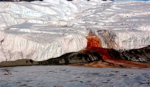 Тайна раскрыта: кровавый водопад в Антарктиде
