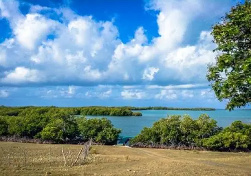 Восточное побережье Кубы: откройте для себя остров заново