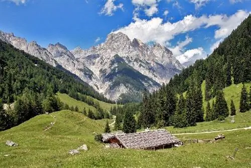 Чистая природа Германии