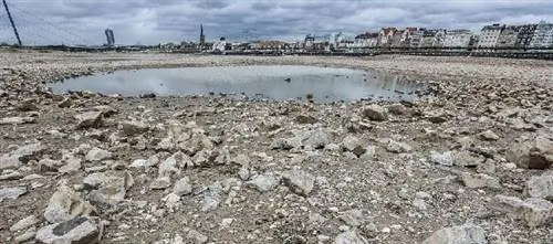 Реки в Германии слишком пересохли – судам приходится уступать дорогу