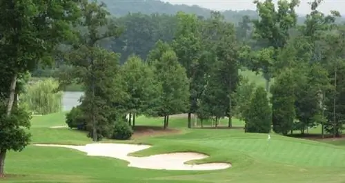 Почти в горшке: Часть самолета упала на поле для гольфа