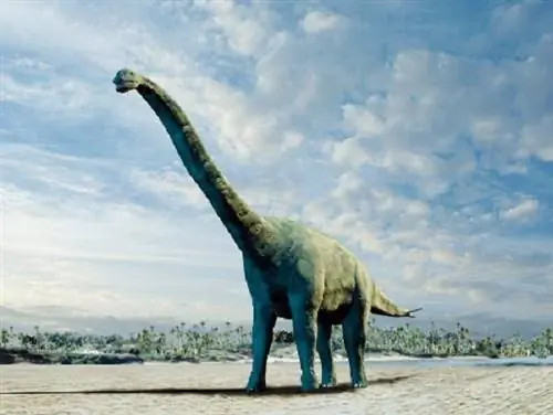 Следы динозавров найдены недалеко от Ганновера