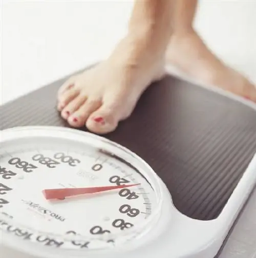 «Пожалуйста, сначала взвесьте!» - «Узбекистон хаво йуллари» вводит весовой контроль