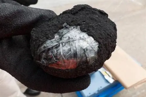 Арестован торговец наркотиками - 80 килограммов кокаина, замаскированного под уголь