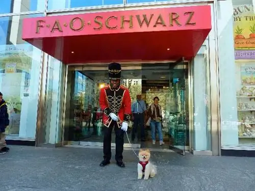 Постоянное закрытие? ФАО Шварц находится на грани краха