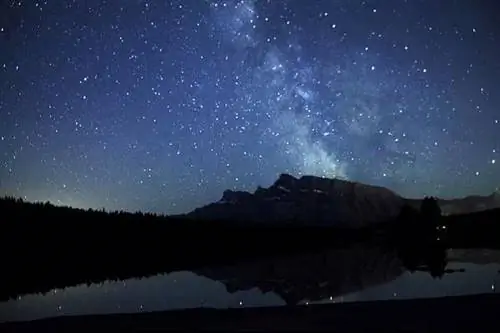 Поездка в Эдмонтон: вкус зимы