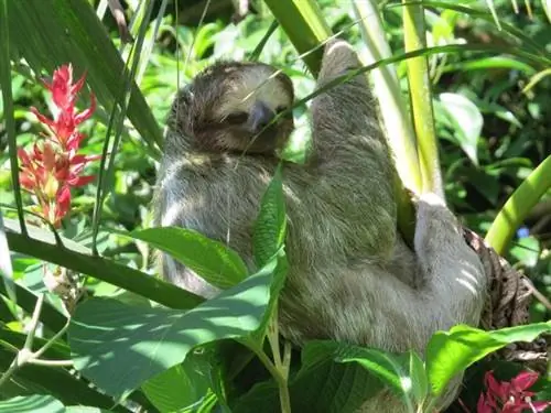 20 причин провести холодные месяцы в Коста-Рике