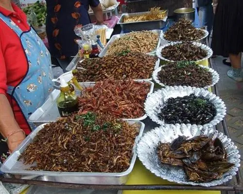 Вкусное ползание