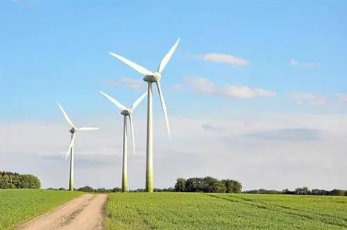 10 самых экологически чистых мест в мире