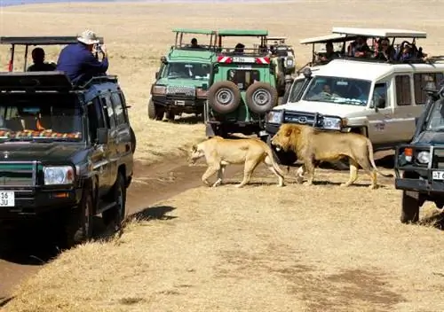 человек редко бывает один