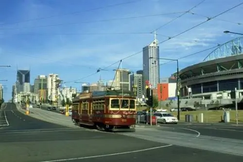 Советы о животных от местных жителей Мельбурна