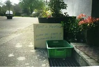 Любопытные меры профилактики ящура