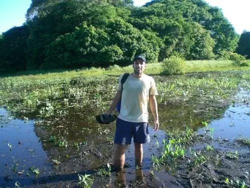 болотистая местность