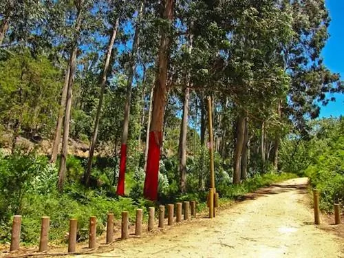 Кинта-ду-Пизао в Эшториле