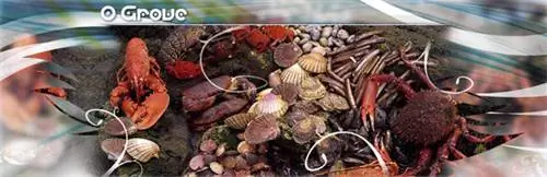 морепродукты