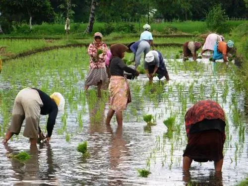 Поездка в Индонезию: подготовка