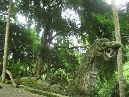 Готовлюсь к следующей поездке: Индонезия и Малайзия