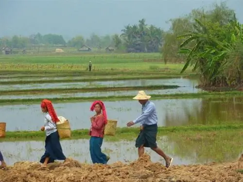 Политическая ситуация в Мьянме