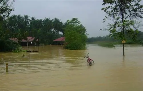 Дожди и наводнения в Таиланде