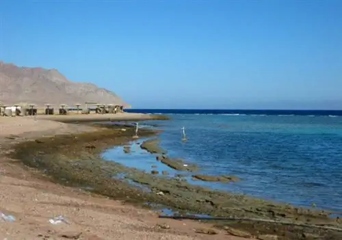 От Табы до Эйлата: пересечение границы Египта с Израилем