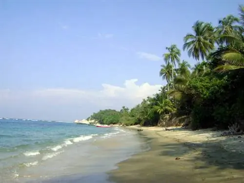 Тайрона Парк